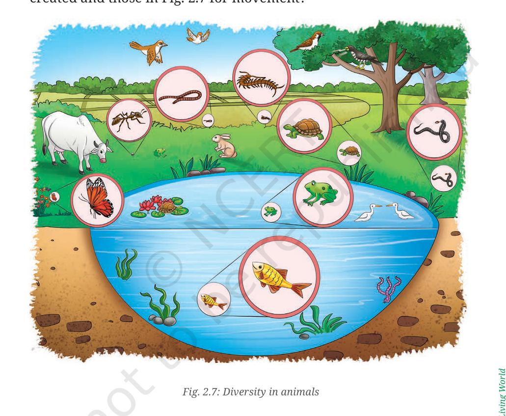 Fig. 2.7 - Diversity in animals